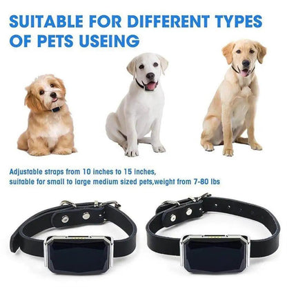 G12 GPS dog collar Smart Multifunctional Pet Locator Waterproof - petguardiansupplies