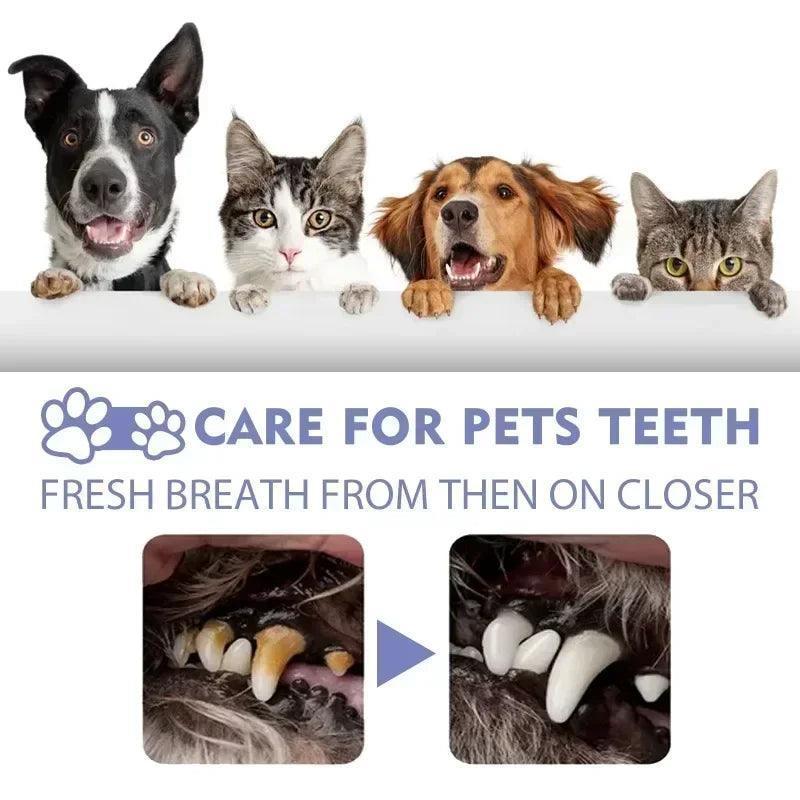 Pet Teeth Cleaning Spray Oral Care for Fresh Breath and Removing Tooth Stains - petguardiansupplies