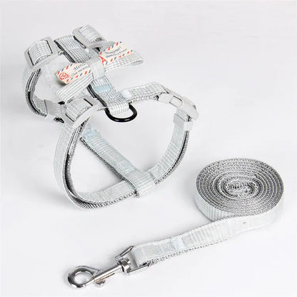 Trendy Nylon Pet Leash for Stylish Walks-3