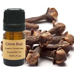 Clove Bud Essential Oil 15ml - petguardiansupplies