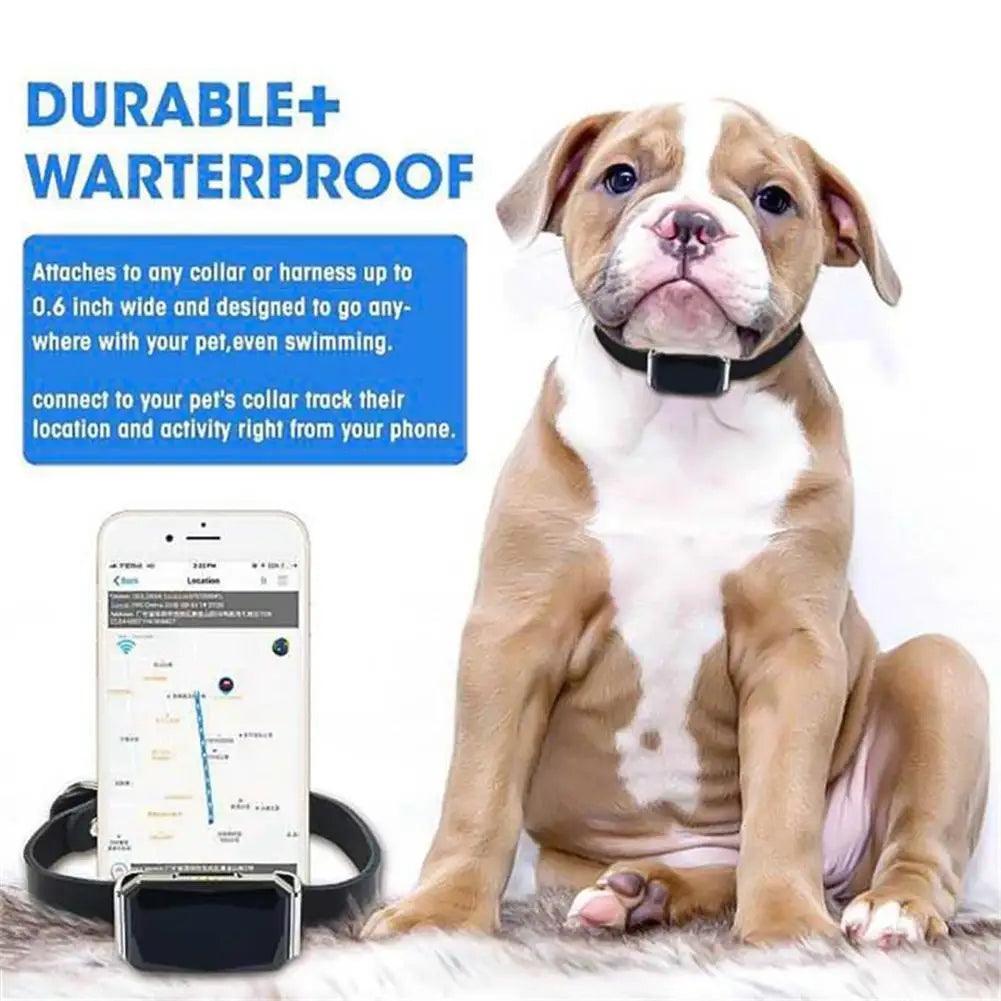 G12 GPS dog collar Smart Multifunctional Pet Locator Waterproof - petguardiansupplies