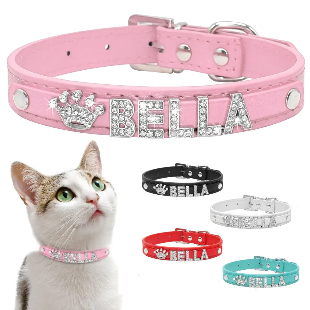 Cat and Small Dog Collar-3