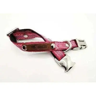 Finnigan Small Dog Collar: Personalised Engraving & Designer Fabrics-19